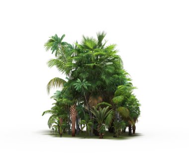 group of trees with a shadow on the ground, isolated on a white background, trees in the forest, 3D illustration