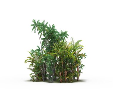 group of trees with a shadow on the ground, isolated on a white background, trees in the forest, 3D illustration