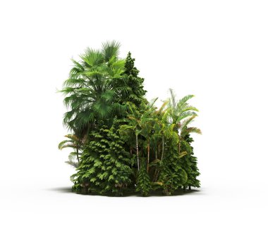 group of trees with a shadow on the ground, isolated on a white background, trees in the forest, 3D illustration