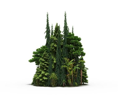 group of trees with a shadow on the ground, isolated on a white background, trees in the forest, 3D illustration