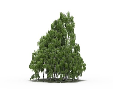 group of trees with a shadow on the ground, isolated on a white background, trees in the forest, 3D illustration