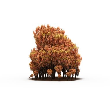 group of trees with a shadow on the ground, isolated on a white background, trees in the forest, 3D illustration