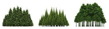 group of trees with a shadow on the ground, isolated on a white background, trees in the forest, 3D illustration