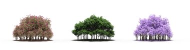 group of trees with a shadow on the ground, isolated on a white background, trees in the forest, 3D illustration