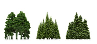 group of trees with a shadow on the ground, isolated on a white background, trees in the forest, 3D illustration