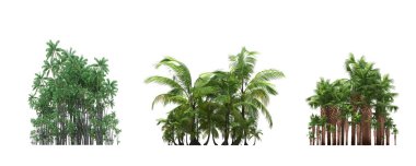 group of trees with a shadow on the ground, isolated on a white background, trees in the forest, 3D illustration