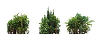 group of trees with a shadow on the ground, isolated on a white background, trees in the forest, 3D illustration