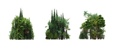 group of trees with a shadow on the ground, isolated on a white background, trees in the forest, 3D illustration