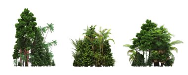 group of trees with a shadow on the ground, isolated on a white background, trees in the forest, 3D illustration