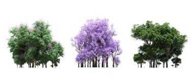group of trees with a shadow on the ground, isolated on a white background, trees in the forest, 3D illustration