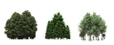 group of trees with a shadow on the ground, isolated on a white background, trees in the forest, 3D illustration