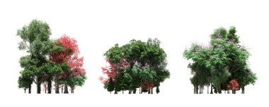 group of trees with a shadow on the ground, isolated on a white background, trees in the forest, 3D illustration