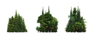 group of trees with a shadow on the ground, isolated on a white background, trees in the forest, 3D illustration