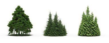 group of trees with a shadow on the ground, isolated on a white background, trees in the forest, 3D illustration