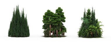 group of trees with a shadow on the ground, isolated on a white background, trees in the forest, 3D illustration