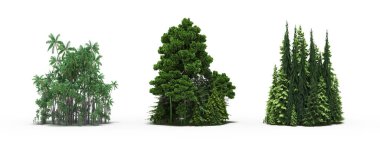 group of trees with a shadow on the ground, isolated on a white background, trees in the forest, 3D illustration