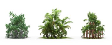 group of trees with a shadow on the ground, isolated on a white background, trees in the forest, 3D illustration