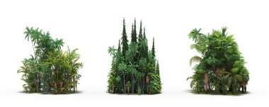 group of trees with a shadow on the ground, isolated on a white background, trees in the forest, 3D illustration