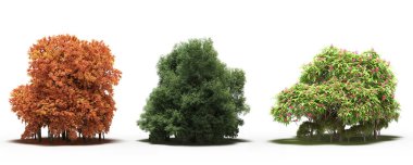 group of trees with a shadow on the ground, isolated on a white background, trees in the forest, 3D illustration