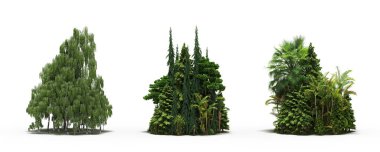 group of trees with a shadow on the ground, isolated on a white background, trees in the forest, 3D illustration