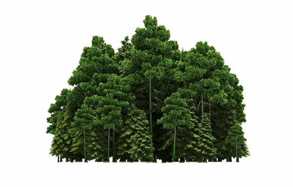 group of trees with a shadow on the ground, isolated on a white background, trees in the forest, 3D illustration