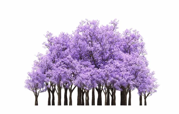 group of trees with a shadow on the ground, isolated on a white background, trees in the forest, 3D illustration