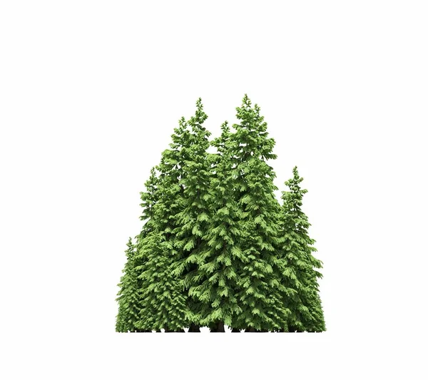 group of trees with a shadow on the ground, isolated on a white background, trees in the forest, 3D illustration