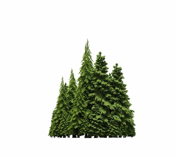 group of trees with a shadow on the ground, isolated on a white background, trees in the forest, 3D illustration