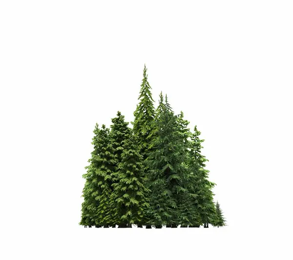 group of trees with a shadow on the ground, isolated on a white background, trees in the forest, 3D illustration