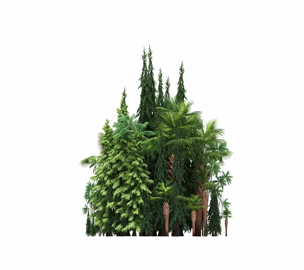 group of trees with a shadow on the ground, isolated on a white background, trees in the forest, 3D illustration