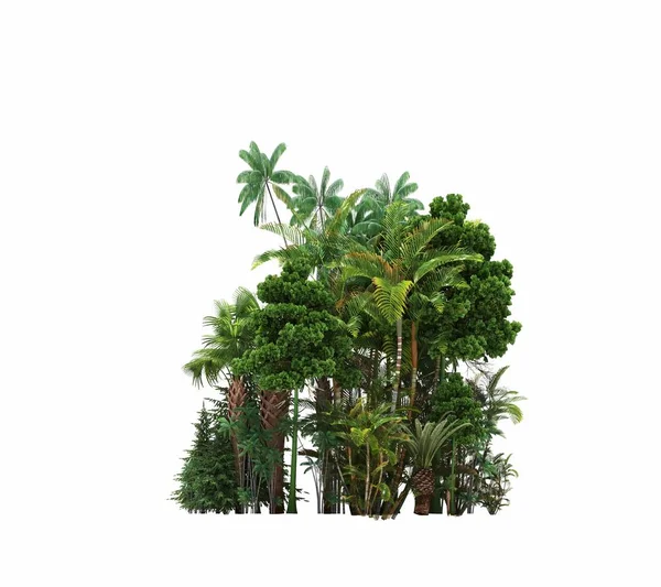 group of trees with a shadow on the ground, isolated on a white background, trees in the forest, 3D illustration