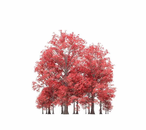 group of trees with a shadow on the ground, isolated on a white background, trees in the forest, 3D illustration