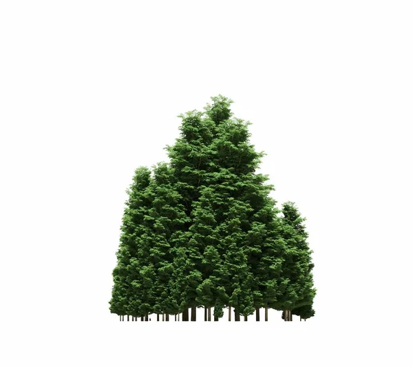 group of trees with a shadow on the ground, isolated on a white background, trees in the forest, 3D illustration
