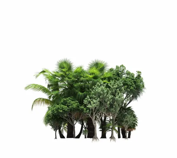 group of trees with a shadow on the ground, isolated on a white background, trees in the forest, 3D illustration