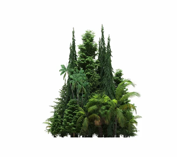 group of trees with a shadow on the ground, isolated on a white background, trees in the forest, 3D illustration