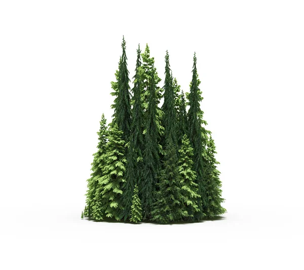 group of trees with a shadow on the ground, isolated on a white background, trees in the forest, 3D illustration