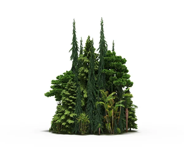 group of trees with a shadow on the ground, isolated on a white background, trees in the forest, 3D illustration