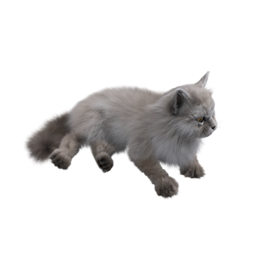 Beyaz arka planda izole edilmiş gri tüylü kedinin 3D görüntüsü.