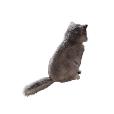 Beyaz arka planda izole edilmiş gri tüylü kedinin 3D görüntüsü.