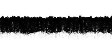 Beyaz arka planda izole edilmiş ağaçlar, ormandaki büyük ağaçlar, 3 boyutlu illüstrasyon, cg canlandırma