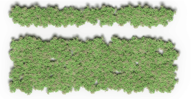 Beyaz zemin üzerinde izole edilmiş yeşil orman ağaçlarının 3D görüntüsü, üst görünüm 