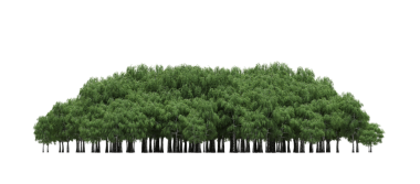 Beyaz arka planda izole edilmiş yeşil orman ağaçlarının 3D görüntüsü 