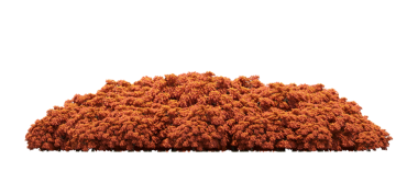 Beyaz arka planda izole edilmiş ağaçlar, ormandaki büyük ağaçlar, 3 boyutlu illüstrasyon, cg canlandırma