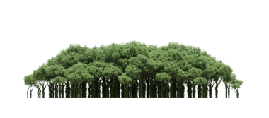 Beyaz arka planda izole edilmiş yeşil orman ağaçlarının 3D görüntüsü 