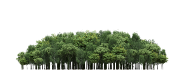 Beyaz arka planda izole edilmiş yeşil orman ağaçlarının 3D görüntüsü 