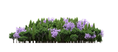 Beyaz arka planda izole edilmiş ağaçlar, ormandaki büyük ağaçlar, 3 boyutlu illüstrasyon, cg canlandırma