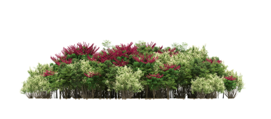 Beyaz arka planda izole edilmiş ağaçlar, ormandaki büyük ağaçlar, 3 boyutlu illüstrasyon, cg canlandırma