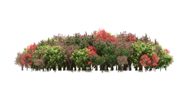 Beyaz arka planda izole edilmiş ağaçlar, ormandaki büyük ağaçlar, 3 boyutlu illüstrasyon, cg canlandırma