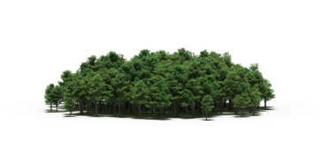 Beyaz arka planda izole edilmiş yeşil orman ağaçlarının 3D görüntüsü 