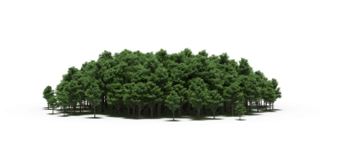 Beyaz arka planda izole edilmiş yeşil orman ağaçlarının 3D görüntüsü 